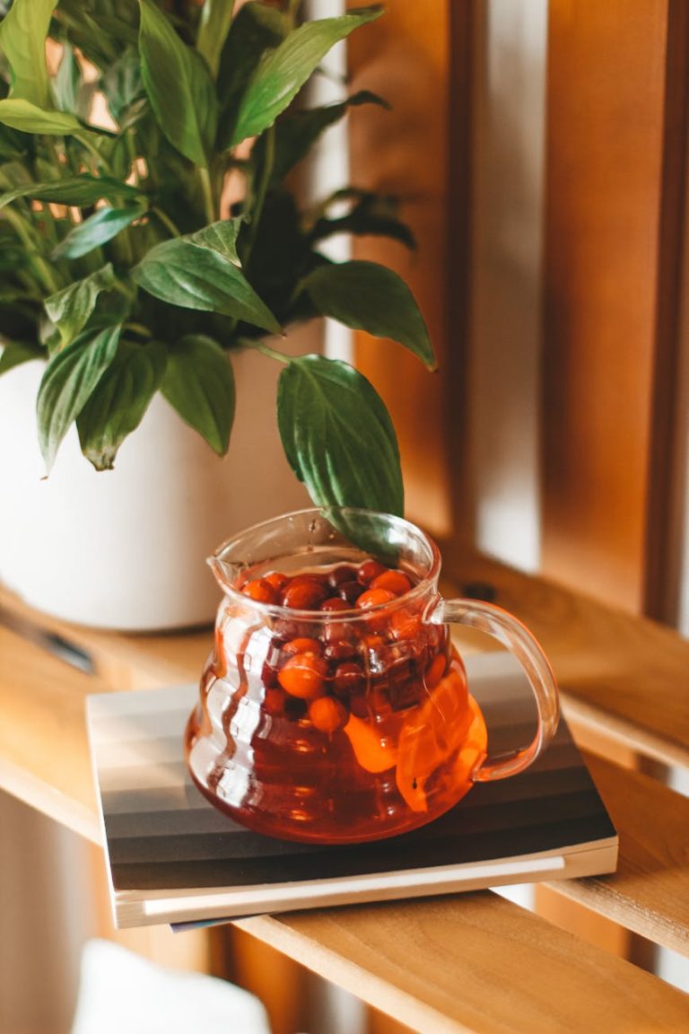 From above of glass jug filled with tasty sweet fruit tea near potted green plant